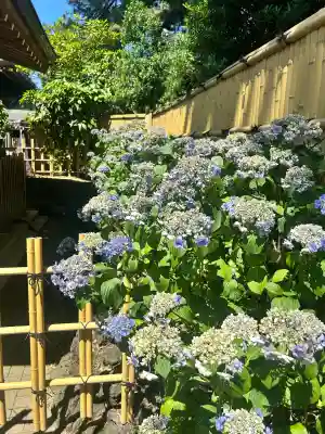 中野沼袋氷川神社(東京都)