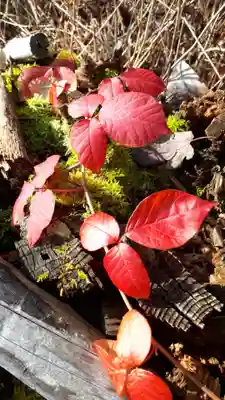 弥照神社(北海道)