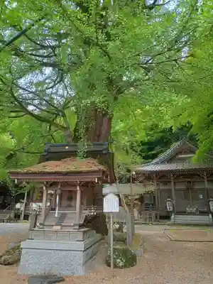 正法寺(滋賀県)