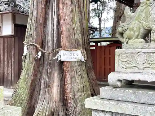 植木神社(三重県)