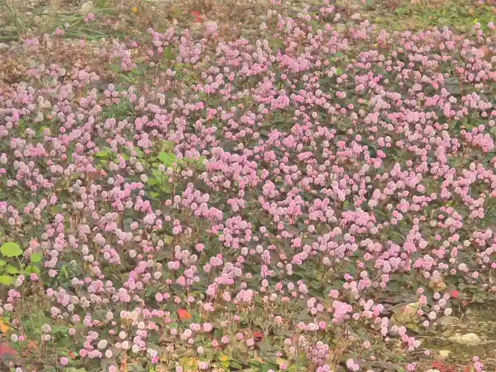 達身寺(兵庫県)