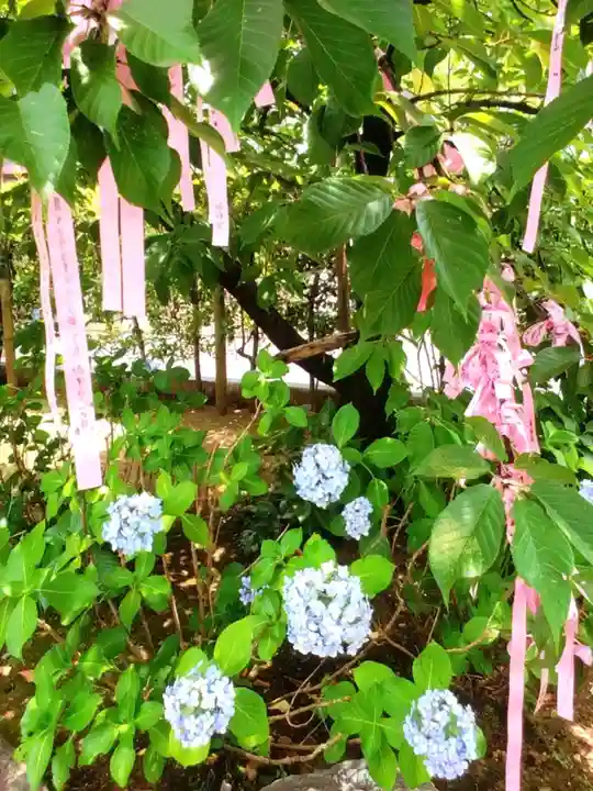 桜神宮(東京都)