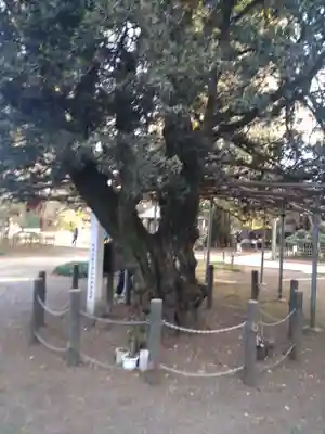 茂林寺のその他建物