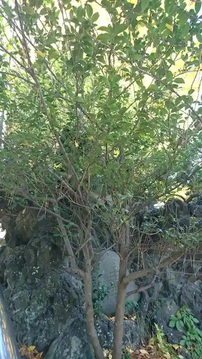 葛飾神社のその他建物