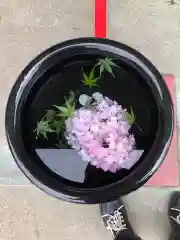 徳島眉山天神社の手水