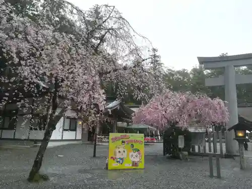 小國神社の自然
