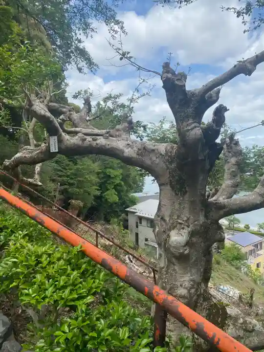 石山寺(滋賀県)