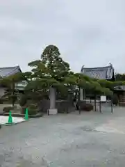 花岳寺の自然