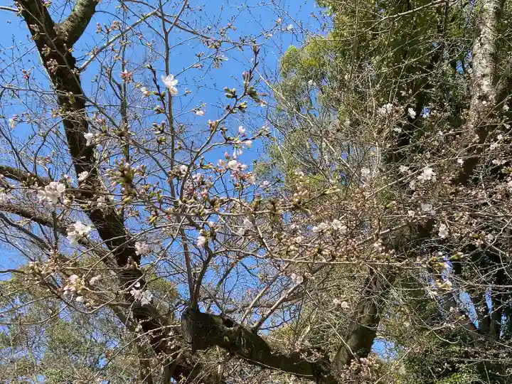 石清水八幡宮(京都府)