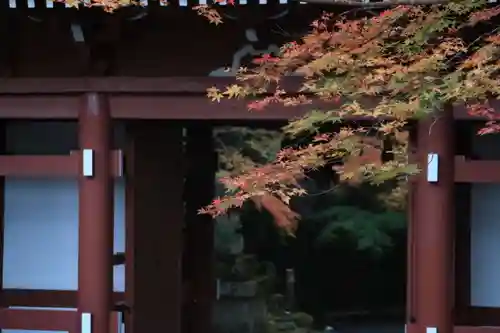 神峯山寺(大阪府)