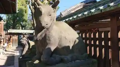 牛嶋神社の狛犬