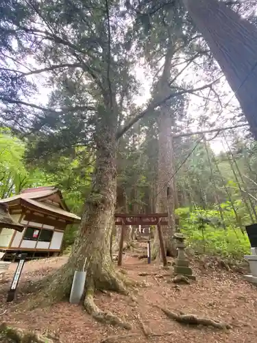 龍興山神社の鳥居