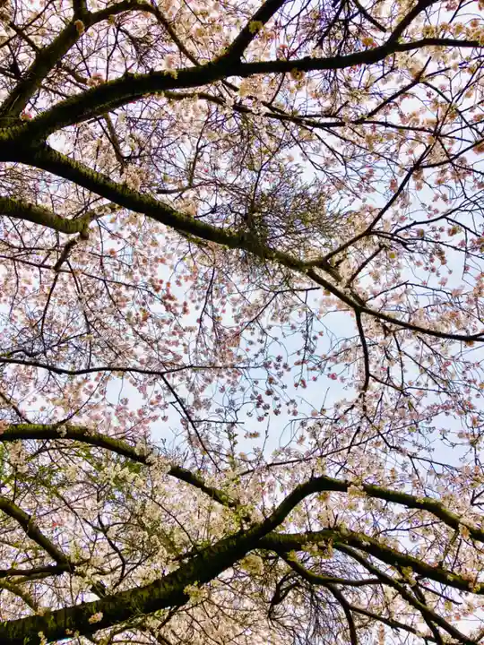 鹿嶋神社の自然