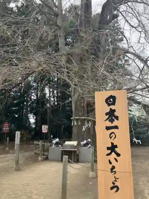 水戸八幡宮(茨城県)