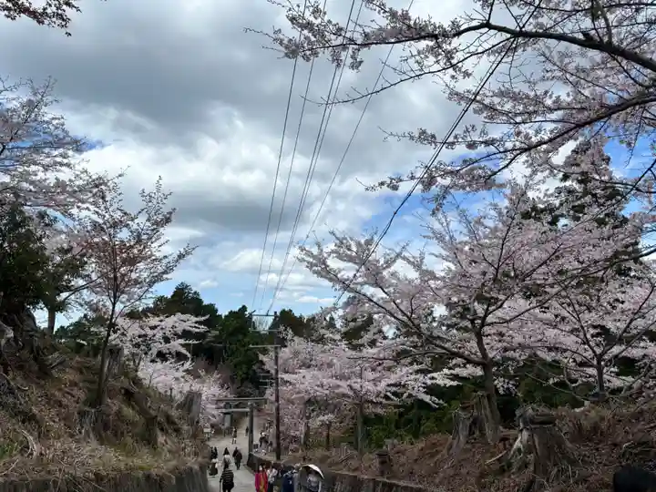 金峯神社(吉野町)の自然