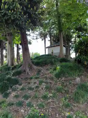 稲荷神社 (埼玉県)