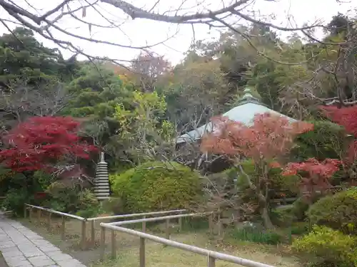 浄光明寺の庭園