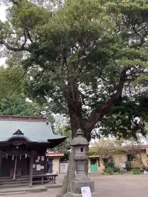 松尾大神の自然