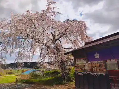 羽生天神社の{uncategorized: "未分類", other: "その他", undefined: "問題あり", building: "その他建物", grave: "お墓", sacred_gate: "鳥居", guardian: "狛犬", statue: "像", buddha: "仏像", history: "歴史", nature: "自然", garden: "庭園", animal: "動物", pagoda: "塔", temizu: "手水舎", mountain_gate: "山門・神門", sanctuary: "本殿・本堂", subordinate: "末社・摂社", art: "芸術", scenery: "景色", jizo: "地蔵", ema: "絵馬", goshuin: "御朱印", omikuji: "おみくじ", items: "授与品その他", amulet: "お守り", goshuincho: "御朱印帳", eats: "食事", festival: "お祭り", votive_dance: "神楽", shichigosan: "七五三参", wedding: "結婚式", experience: "体験その他", initially: "初詣", around: "周辺", anti_infection: "感染症対策"}