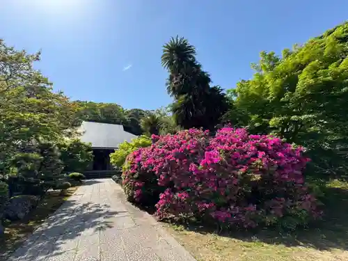 伊勢の国 四天王寺(三重県)