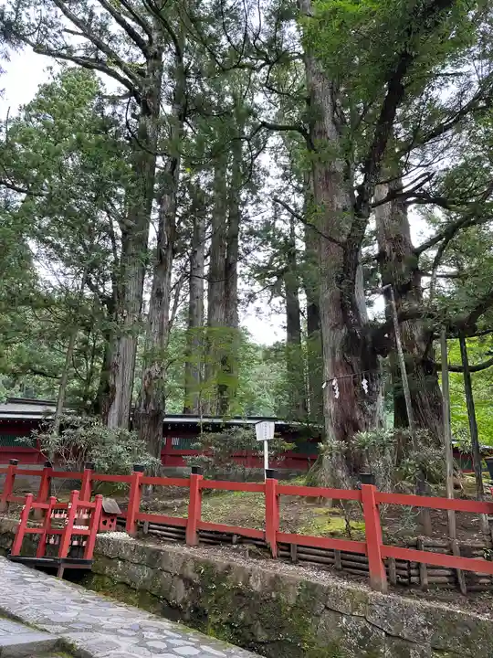 日光二荒山神社(栃木県)