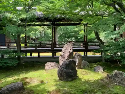 建仁寺（建仁禅寺）の庭園