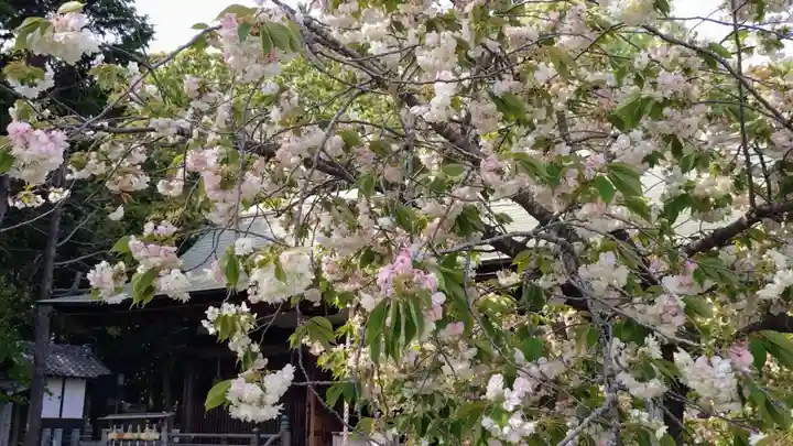 上地八幡宮(愛知県)