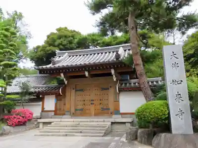 養玉院如来寺の山門・神門