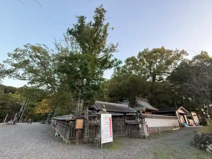 闘鶏神社(和歌山県)