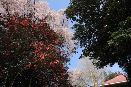 貝山薬師堂の自然