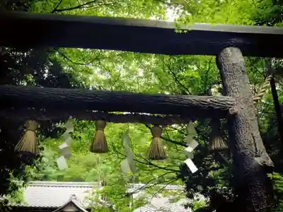 野宮神社のその他建物