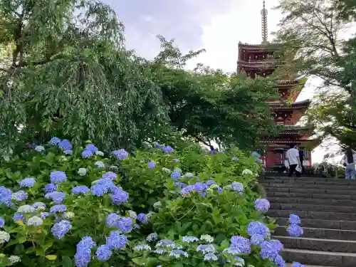 本土寺(千葉県)