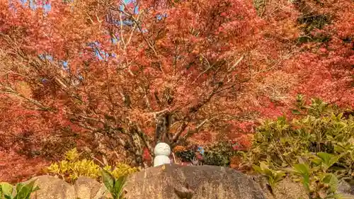 柳谷観音　楊谷寺(京都府)