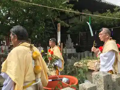 葛井寺の体験その他