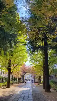 亀戸 香取神社のその他建物