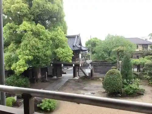 薬師山 林昌寺の庭園