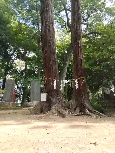 東蕗田天満社(茨城県)