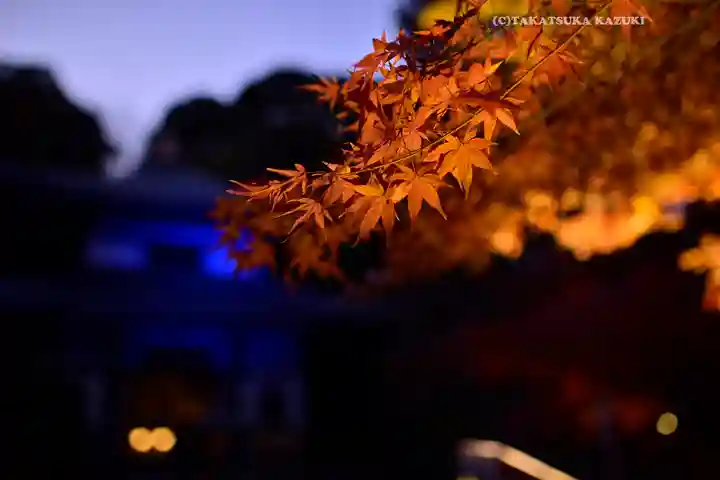 長谷寺(神奈川県)