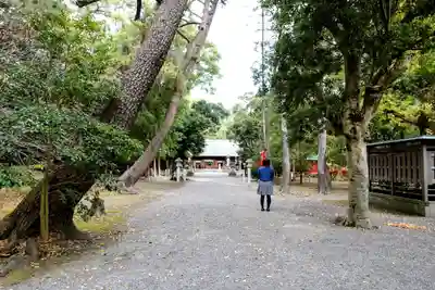 蒲神明宮の自然