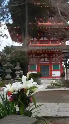 高幡不動尊　金剛寺(東京都)