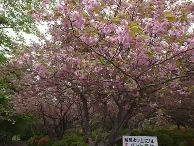 石崎地主海神社(北海道)