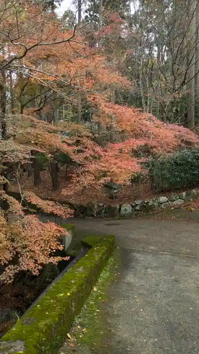 勝手神社(京都府)