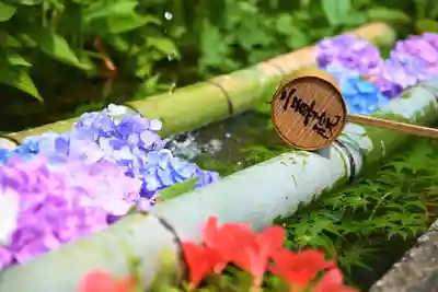 二尊院の手水舎