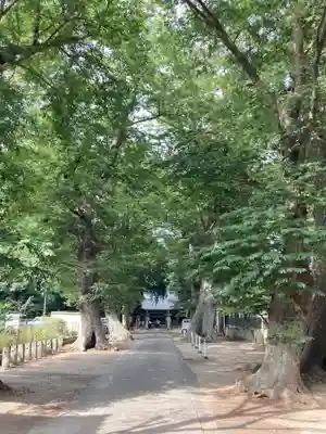 八坂神社のその他建物