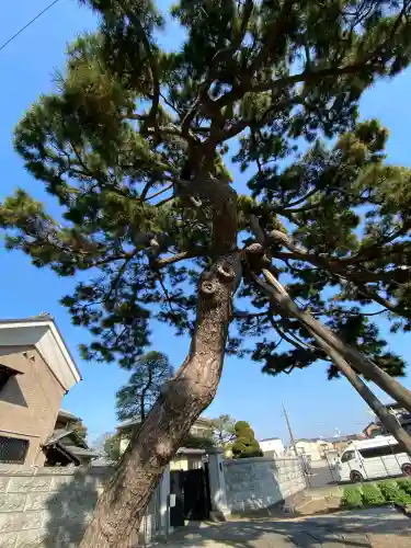 国土安穏寺の{uncategorized: "未分類", other: "その他", undefined: "問題あり", building: "その他建物", grave: "お墓", sacred_gate: "鳥居", guardian: "狛犬", statue: "像", buddha: "仏像", history: "歴史", nature: "自然", garden: "庭園", animal: "動物", pagoda: "塔", temizu: "手水舎", mountain_gate: "山門・神門", sanctuary: "本殿・本堂", subordinate: "末社・摂社", art: "芸術", scenery: "景色", jizo: "地蔵", ema: "絵馬", goshuin: "御朱印", omikuji: "おみくじ", items: "授与品その他", amulet: "お守り", goshuincho: "御朱印帳", eats: "食事", festival: "お祭り", votive_dance: "神楽", shichigosan: "七五三参", wedding: "結婚式", experience: "体験その他", initially: "初詣", around: "周辺", anti_infection: "感染症対策"}