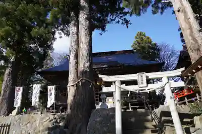 高司神社〜むすびの神の鎮まる社〜の鳥居