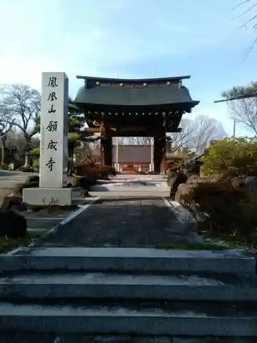願成寺の山門・神門