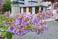 津観音(三重県)