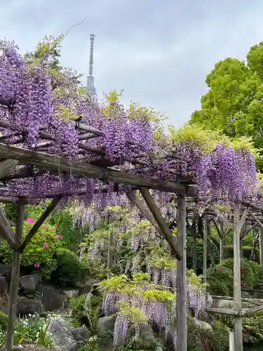 亀戸天神社(東京都)