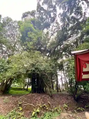 萱尾神社の自然